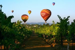 A-Grape-Escape-Hot-Air-Balloon-Adventure A-Grape-Escape-Hot-Air-Balloon-Adventure