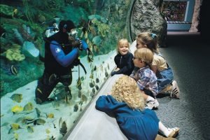 Aquarium-of-the-Pacific