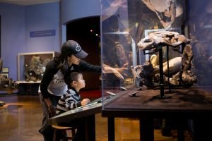 San-Diego-Natural-History-Museum San-Diego-Natural-History-Museum