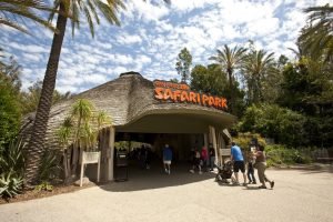 San-Diego-Zoo-Safari-Park-1 San-Diego-Zoo-Safari-Park-1